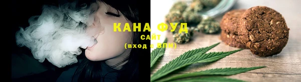 дмт Арсеньев