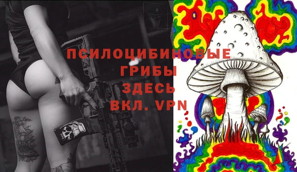 дмт Арсеньев
