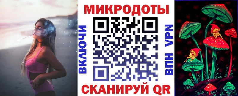 закладка Ростов Псилоцибиновые грибы Cubensis